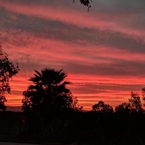 Meet your Posher, Kellie